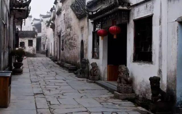 小奶猫听到主人说自己丑,委屈的直哭,网友:嫌丑送给我!